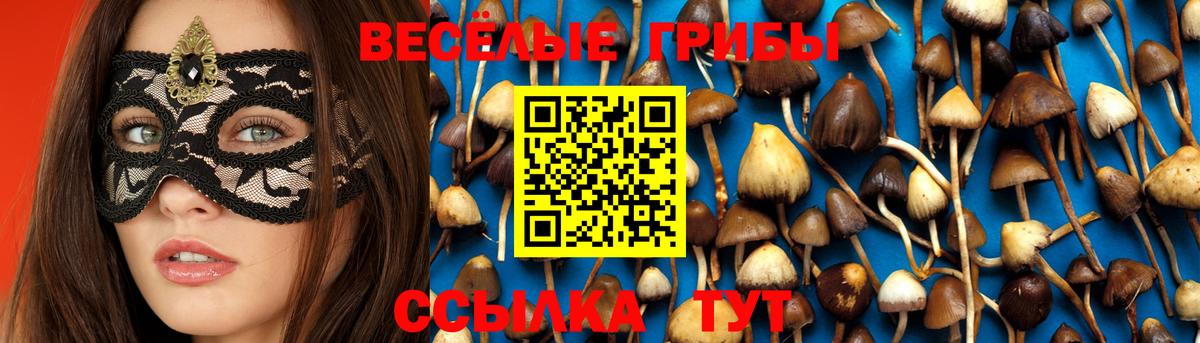 Лсд 25  Cocaine  Бузулук  A PVP СК   Канабис  Меф   Вход с VPN  Марихуана  ТГК 