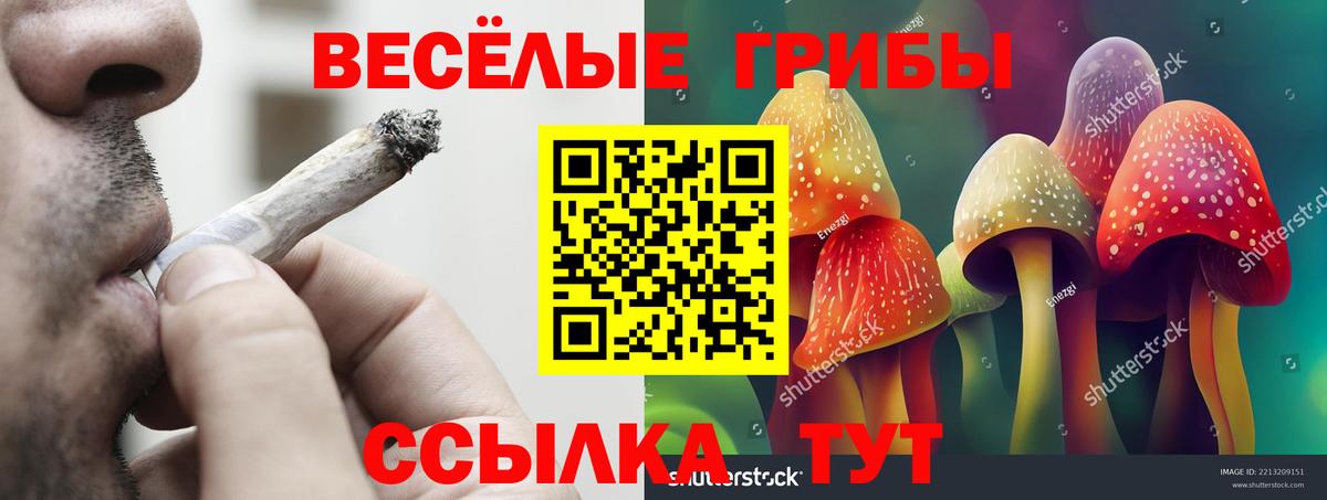 Бузулук  Галлюциногенные грибы прущие грибы  Вход с VPN 